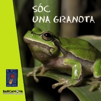 Sóc una granota