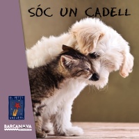 Sóc un cadell